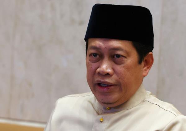 Ahmad Maslan to Umno members: ‘Why do you still have a phobia of DAP?’