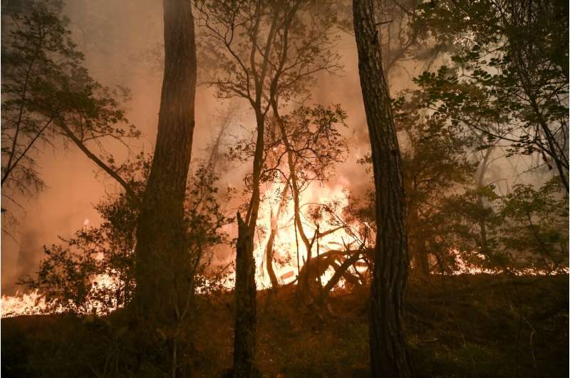 Computers are 'learning' how to spot smoke from wildfires in California, giving firefighters a helping hand